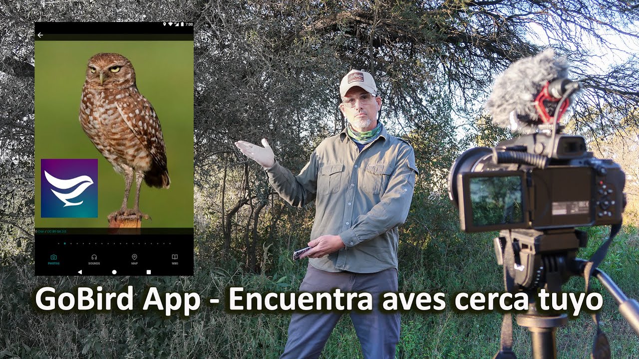 GOBIRD una aplicación móvil 📱 para encontrar AVES cercanas