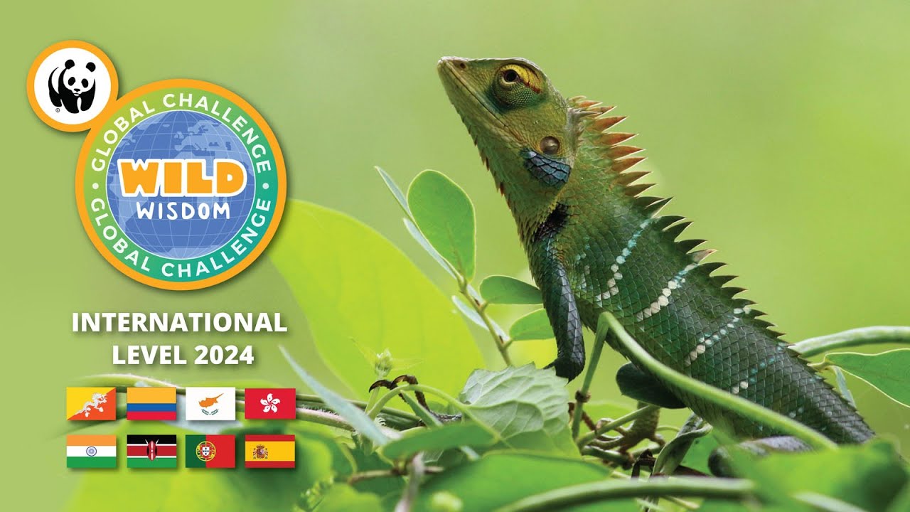 Wild Wisdom Global Challenge 2024: International Finale