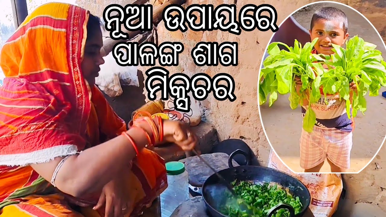 ନୂଆ ଉପାୟରେ ପାଳଙ୍ଗ ଶାଗ ମିକ୍ସଚର || Nua Upayare Palanga Saga Mixture || Palanga saga Recipe 