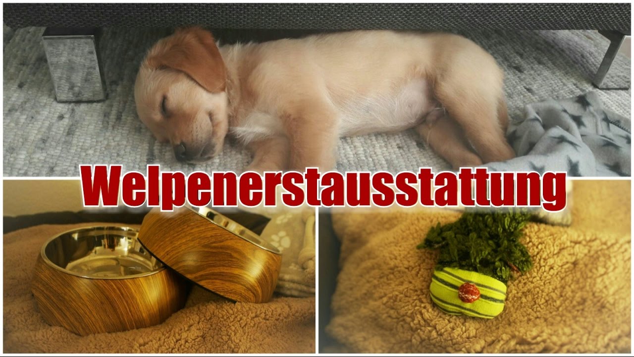 Welpenerstausstattung / Einzug Welpe