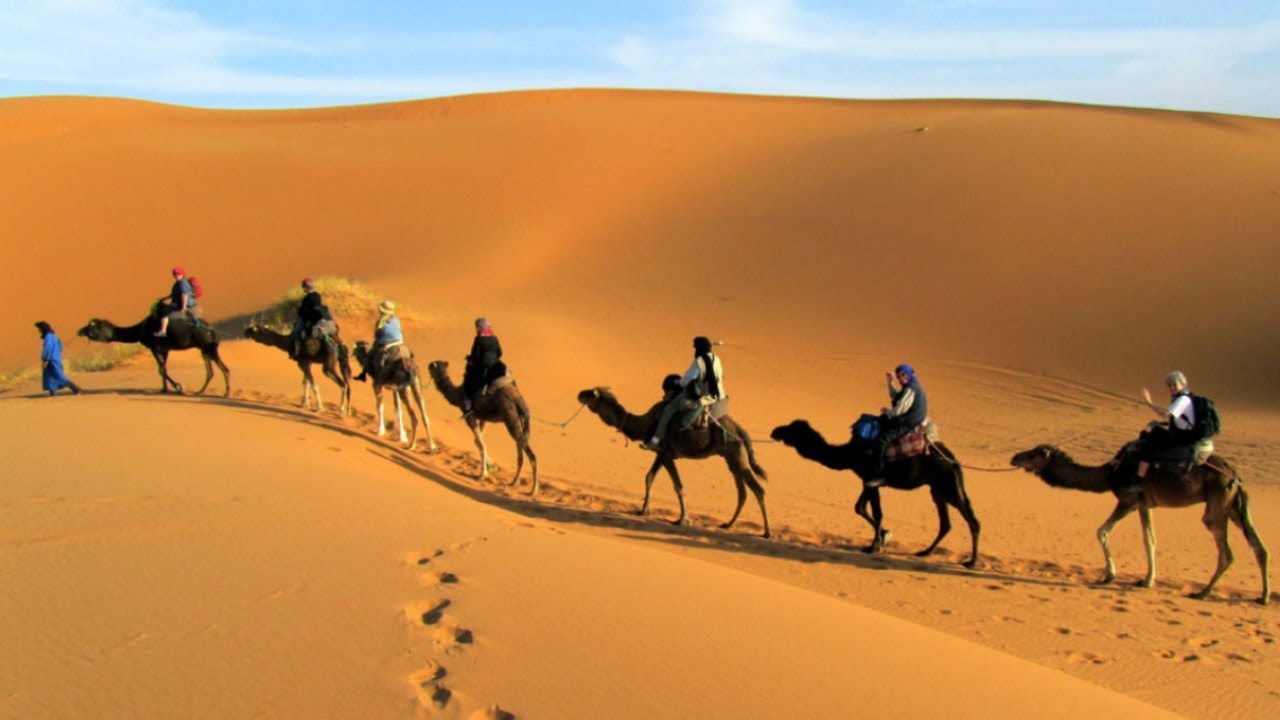 Хорошо жить на Востоке!