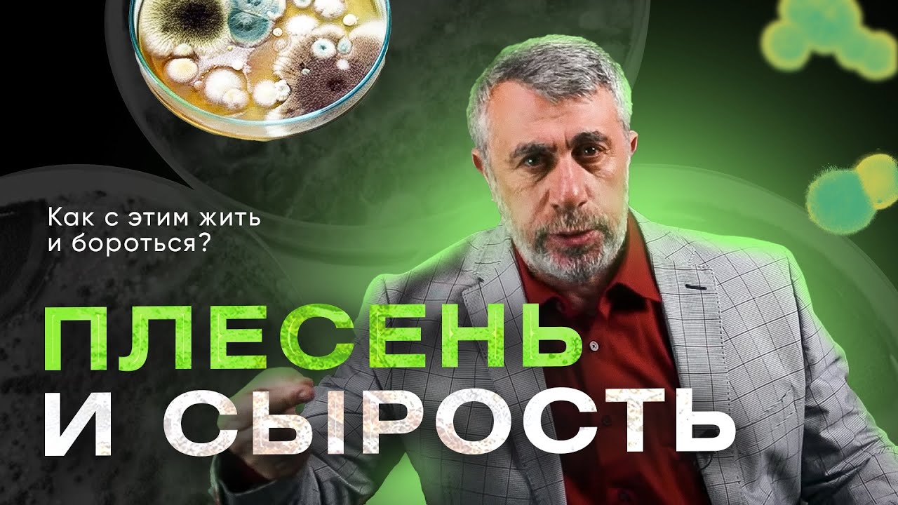 Плесень и сырость. Как с этим жить и как с этим бороться?
