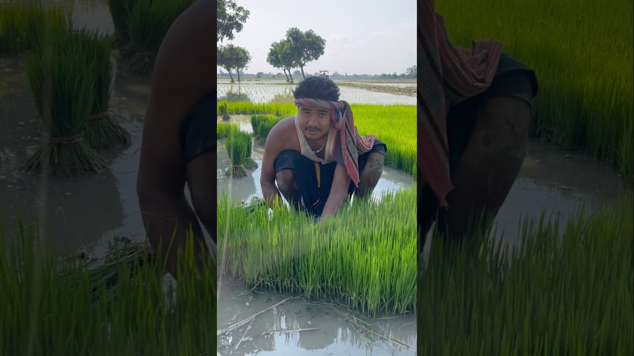 Gao Ki Kheti 🙄😂😁 #funny #viral #shorts