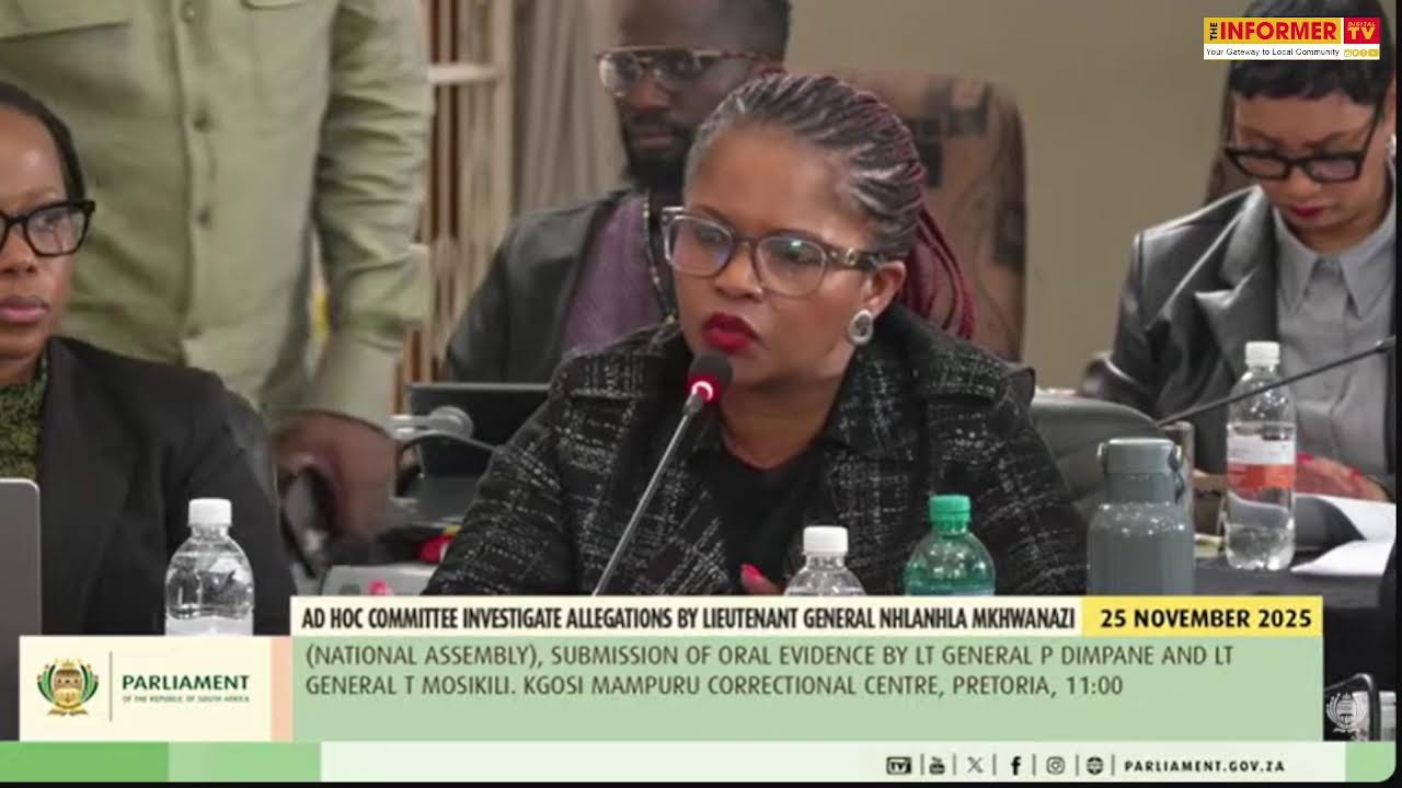 Ad Hoc Committee to Investigate Allegations made by Lieutenant General Mkhwanazi