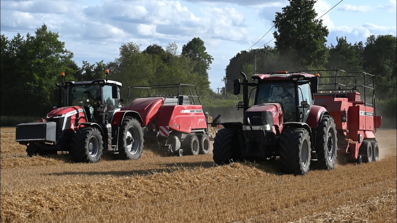 Harvest 2025 - Baling Straw with Case IH Puma & Massey Ferguson 8S and Massey Ferguson Balers