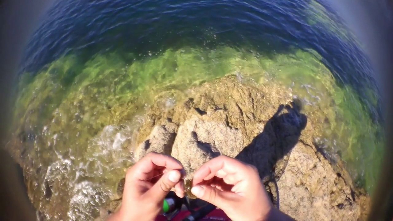 Rockfishing Normandië, lipvissen deel 1: De hoge rotsen.