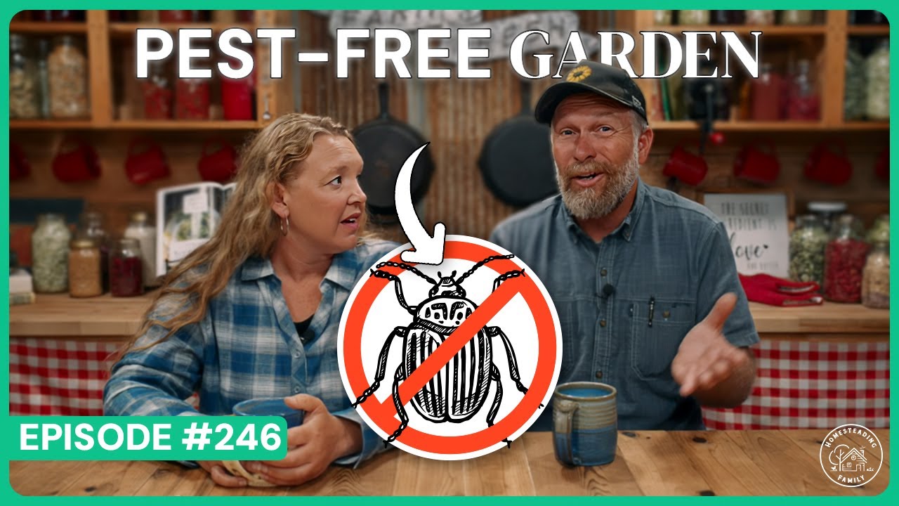Stop Fighting Garden Pests. Do THIS Instead.