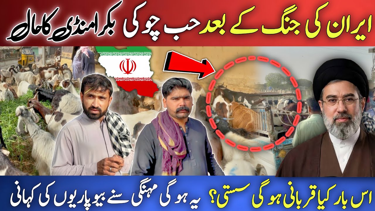 Iran War Ka Asar 😱 Hub Chowki Bakra Mandi Ka Hal | Qurbani Sasti Ya Mehngi? 🐐💰
