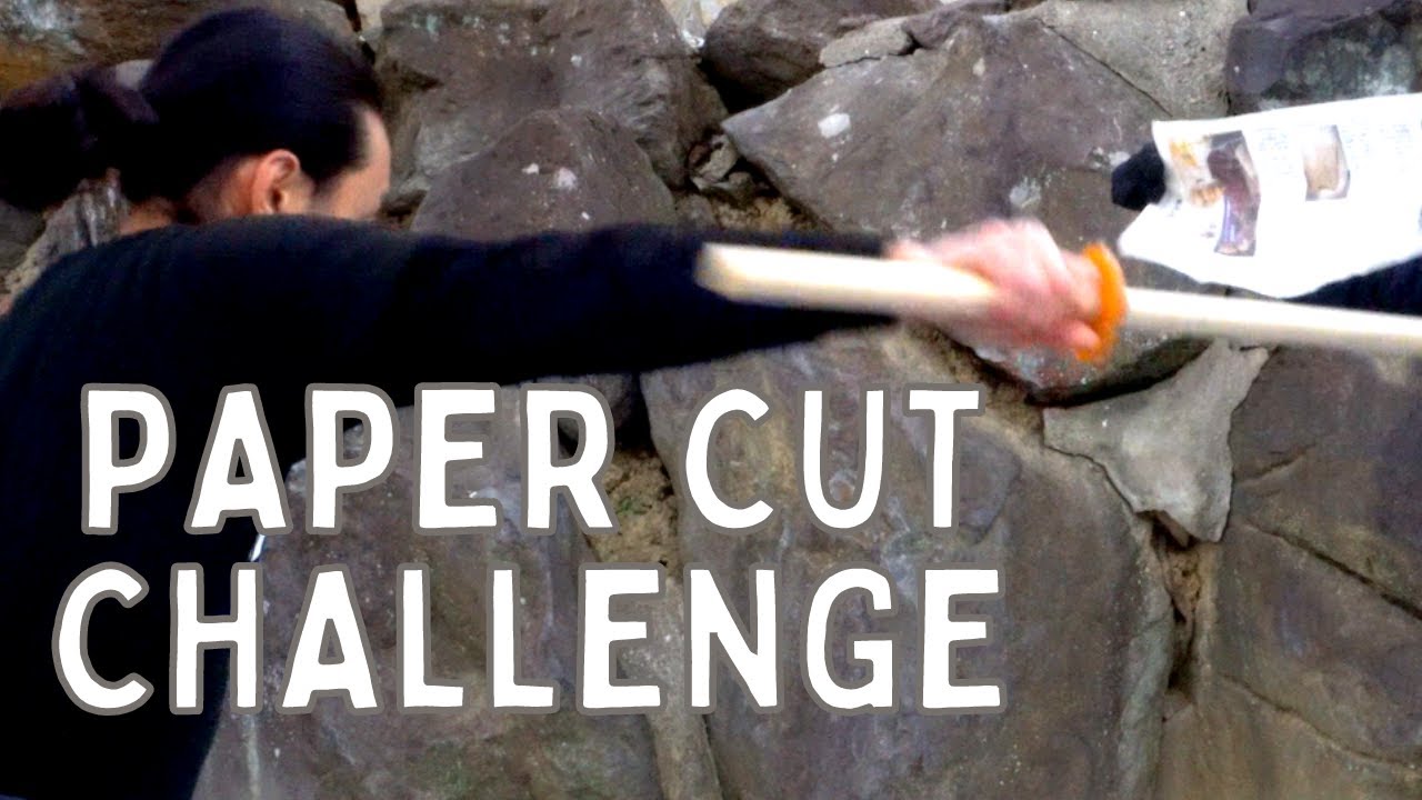 Tameshigiri / Cut A Pieace Of Paper By Fingers & Bokken.