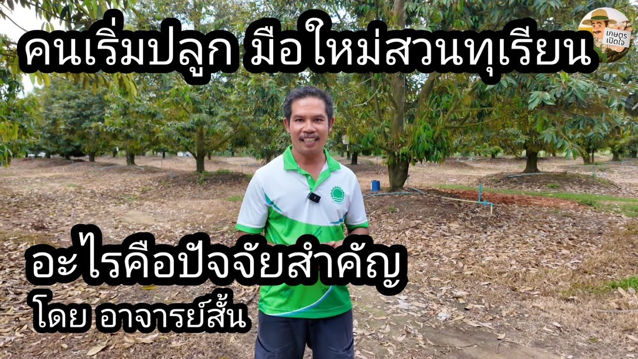 อยากปลูกใหม่ มือใหม่สวนทุเรียน อะไรต้องใส่ใจตั้งแต่เริ่ม เริ่มต้นดีมีชัยไปกว่าครึ่ง | อาจารย์สั้น