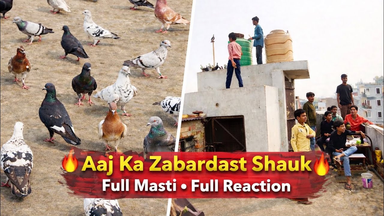 Aaj Ka Zabardast Shauk ! Live Reactions • Full Enjoyment
