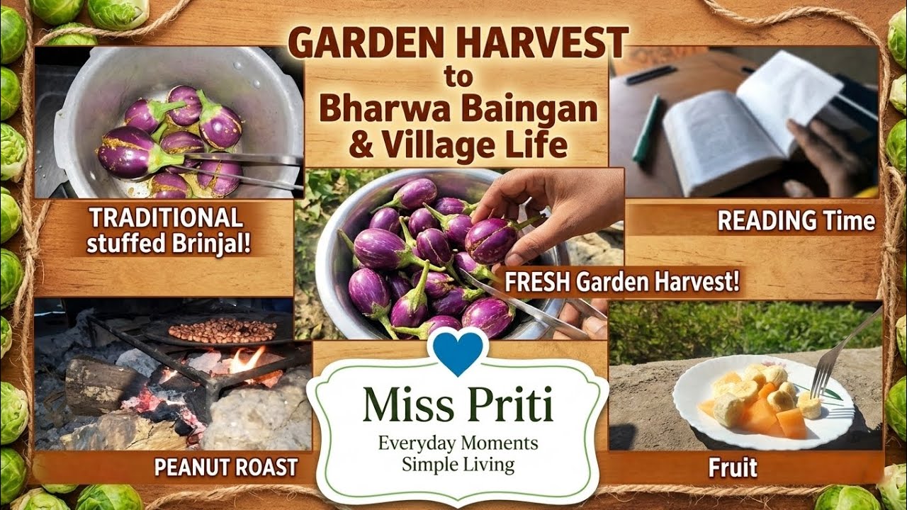 Village Routine|Garden Fresh Brinjal Harvest & Bharwa Baingan Cooking|Birds Sound|nature