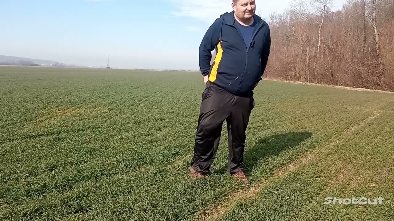 Prihrana ozimih kultura UREA ili KAN