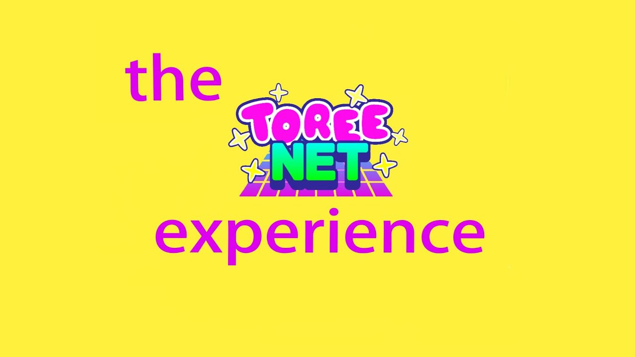 The Toree Net Experience