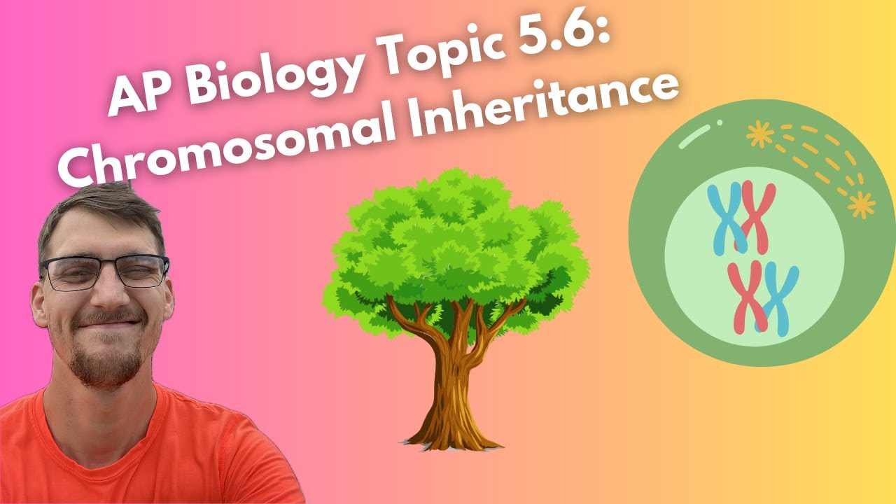(2019 curriculum) 5.6 Chromosomal Inheritance - AP Biology