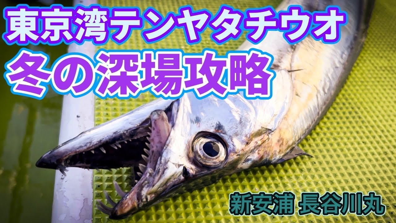 【東京湾テンヤタチウオ】 冬の深場攻略 【新安浦 長谷川丸】