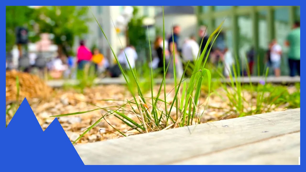 Le jardin des écoliers est ouvert