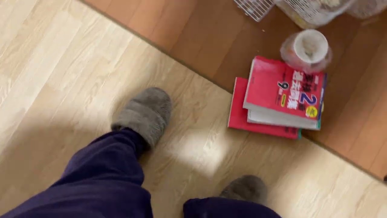 ハムスターの部屋んぽ