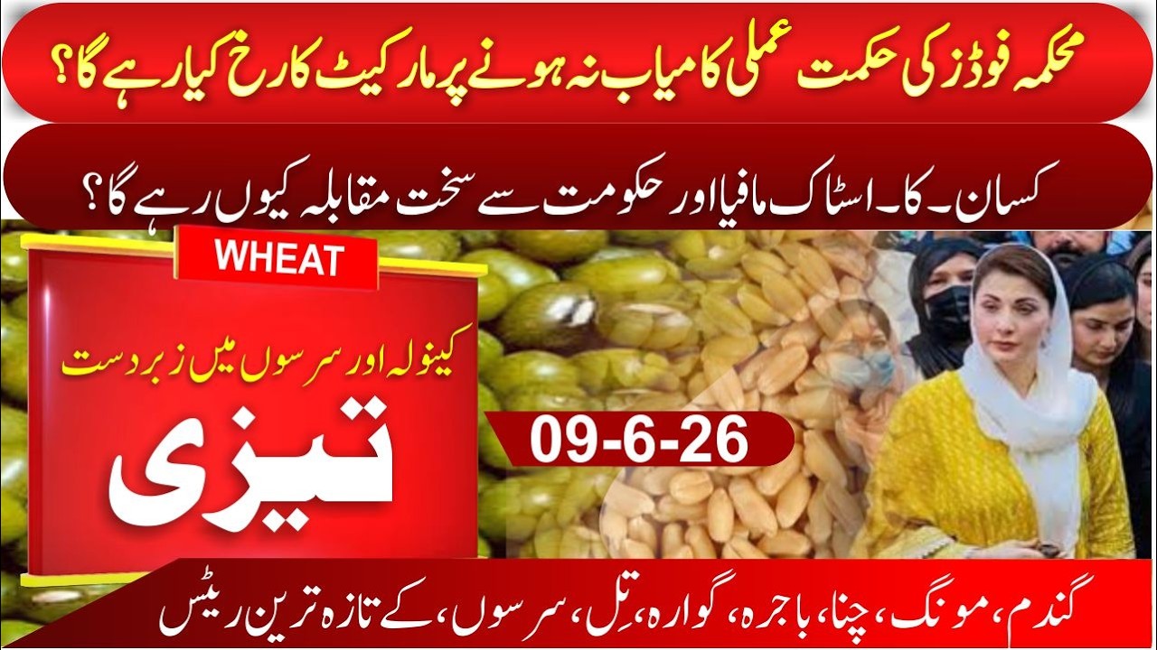 Today wheat trend 2026 in future | chana price in pakistan | Sarso updated up/down | Bajra new rate