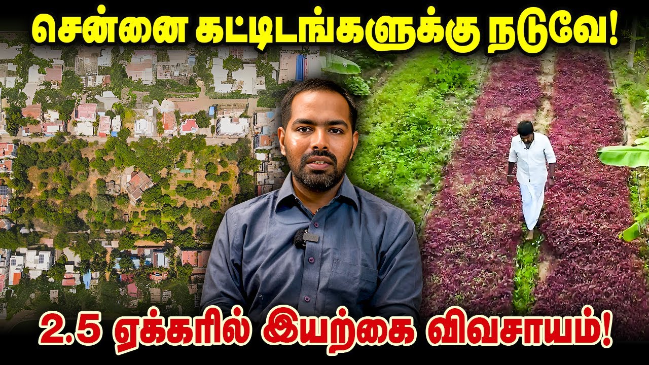 சென்னை கட்டிடங்களுக்கு நடுவே! 2.5 ஏக்கரில் விவசாயம்! #naturalfarming #chennai #savesoil