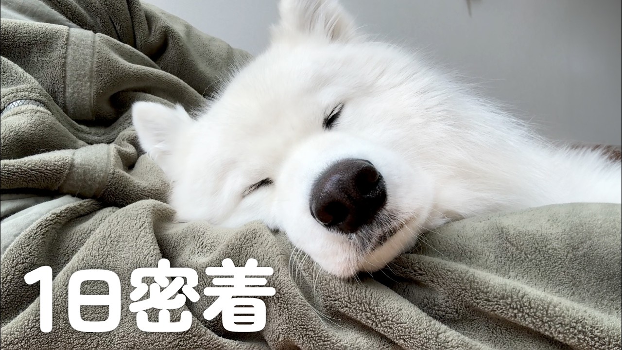 リアルな平日の1日ルーティーンを追ったら終始かわいすぎました…！