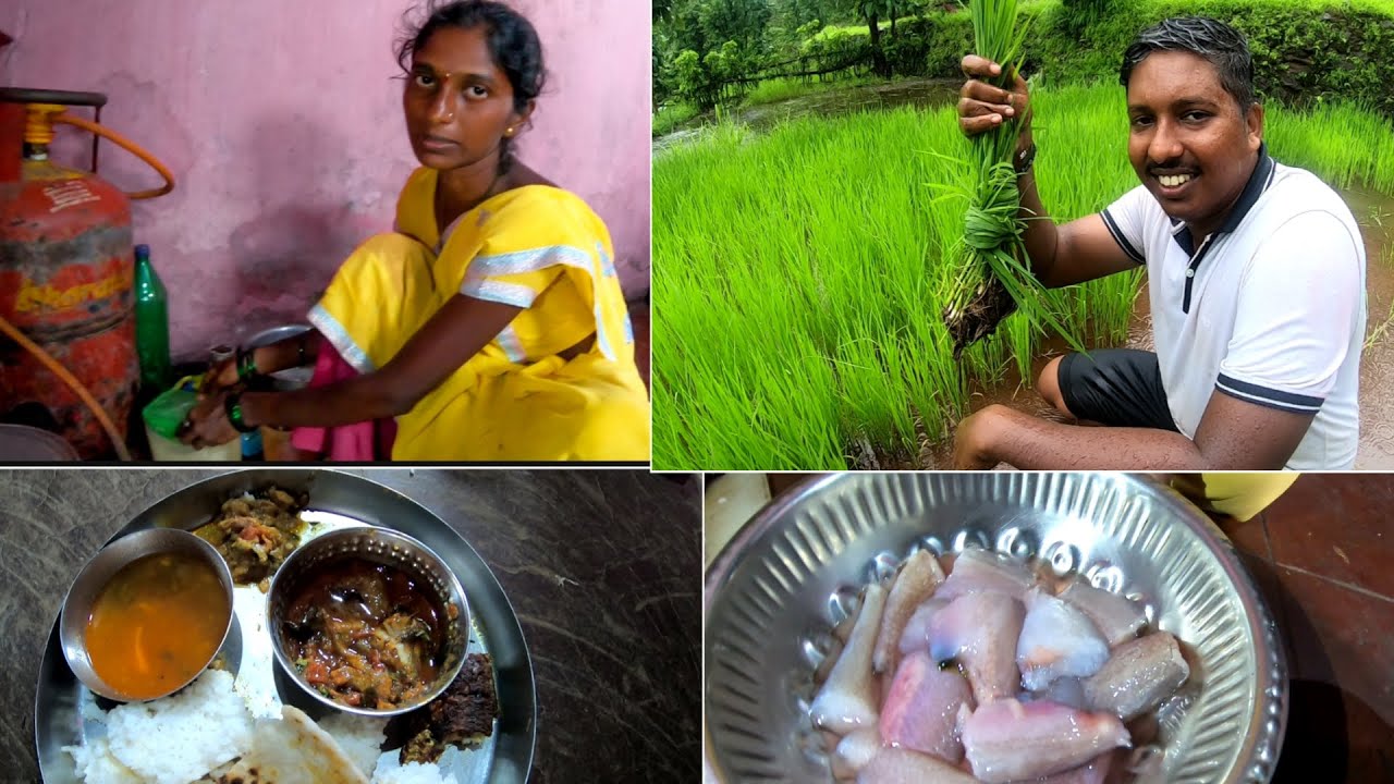 बायकोने बनवलं बोंबील सुक्का 😍| भर पावसात केली शेतीची कामे - Ambavali, Mandangad (Konkan)