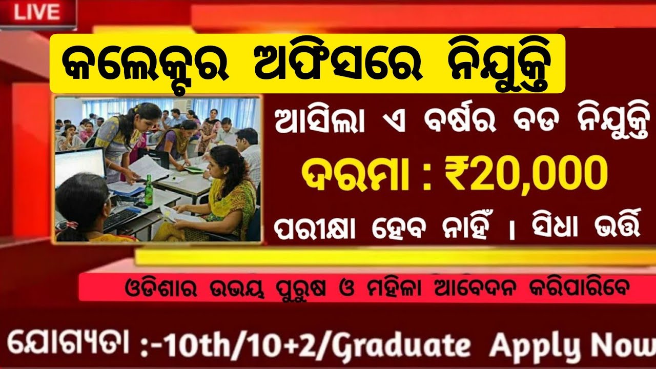 Odisha Collector Office Recruitment 2026 ! Salary 20,000 Per Month ! Odisha Govt Jobs