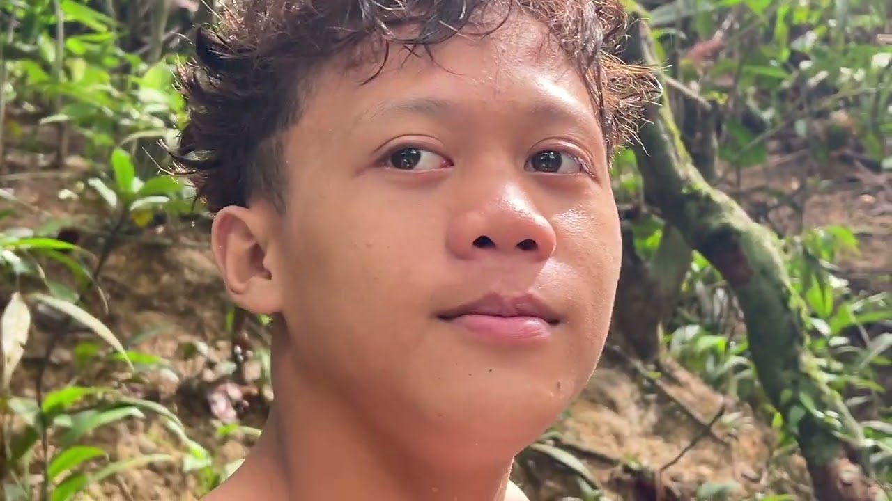 Ngabas kebun sidak entua ku ba Song, Sarawak 