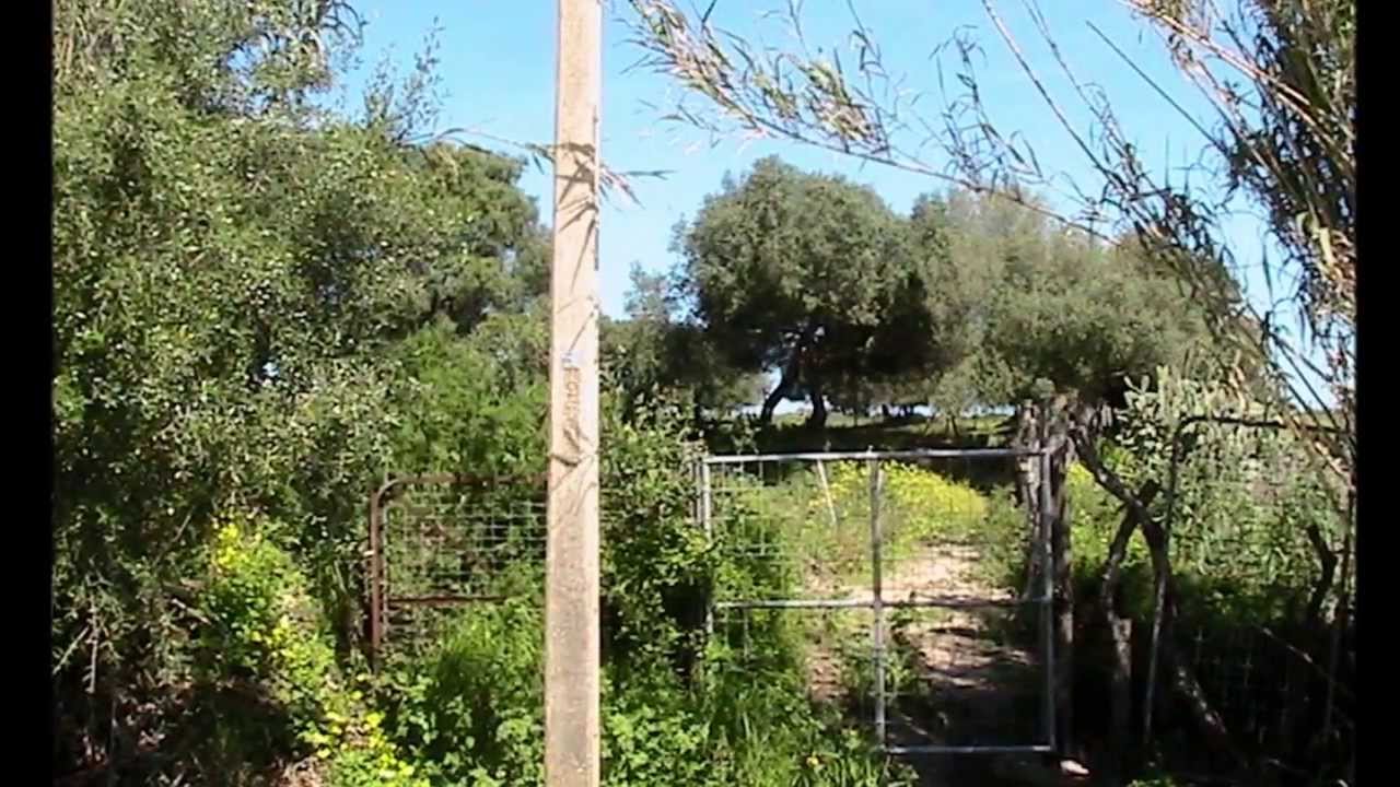 Vejer de la Frontera (Cádiz) Pedanía de Nájara