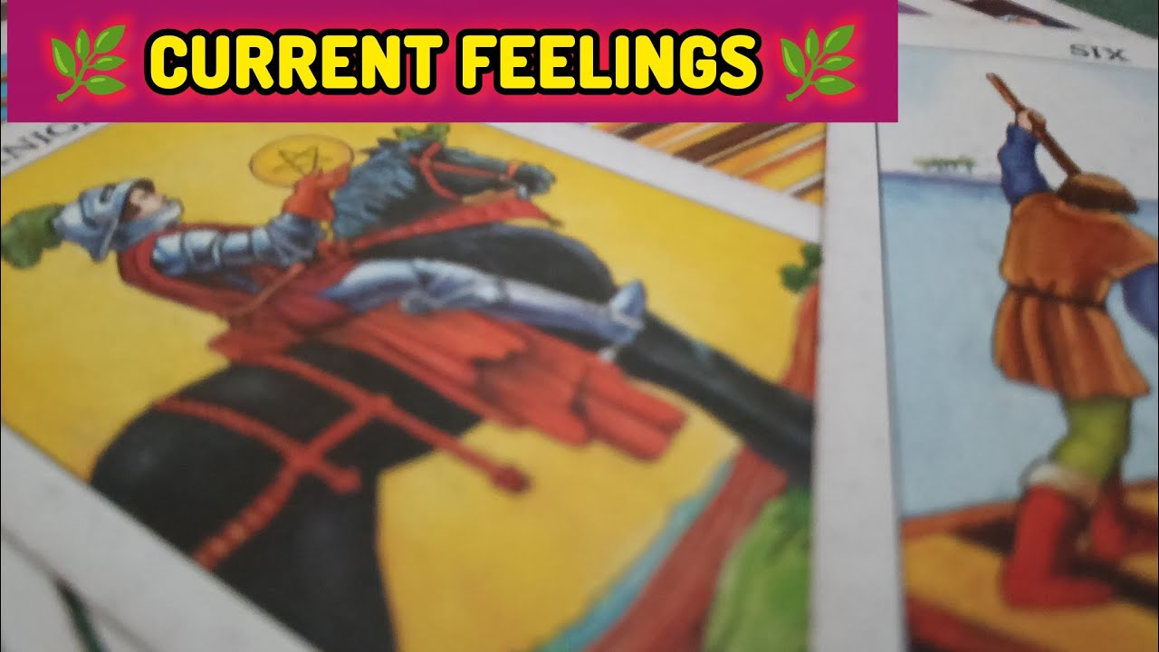 🌿🍁 Current Situations Of Your Person 🍁 All Signs Collective Timeless Tarot Reading In Hindi 🍁🌿