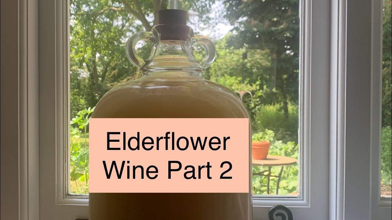 Elderflower Wine - Part 2
