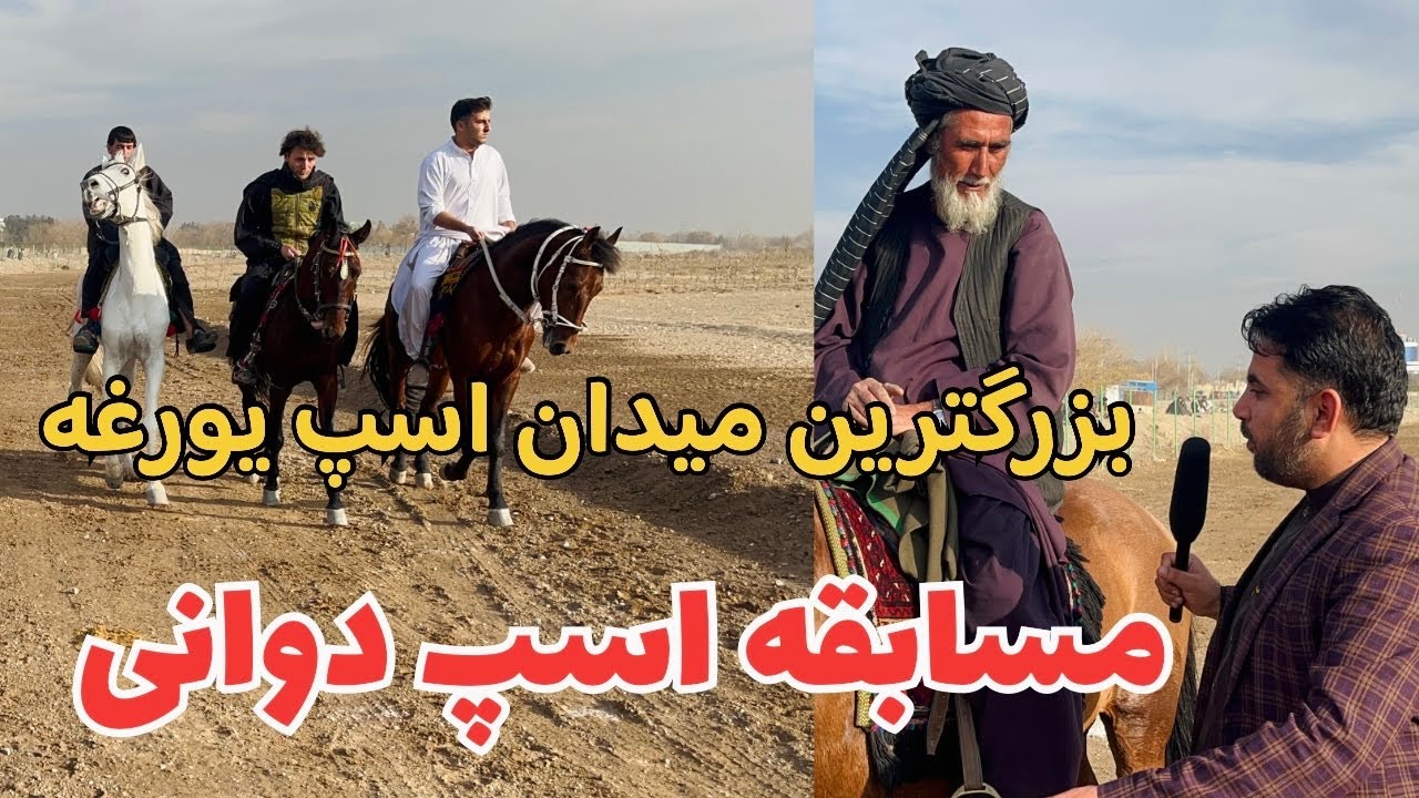 بزرگترین میدان اسپ‌دوانی اسپ‌یورغه در هرات  مرکز هیجان و شوق اسپ‌دوانی غرب کشور