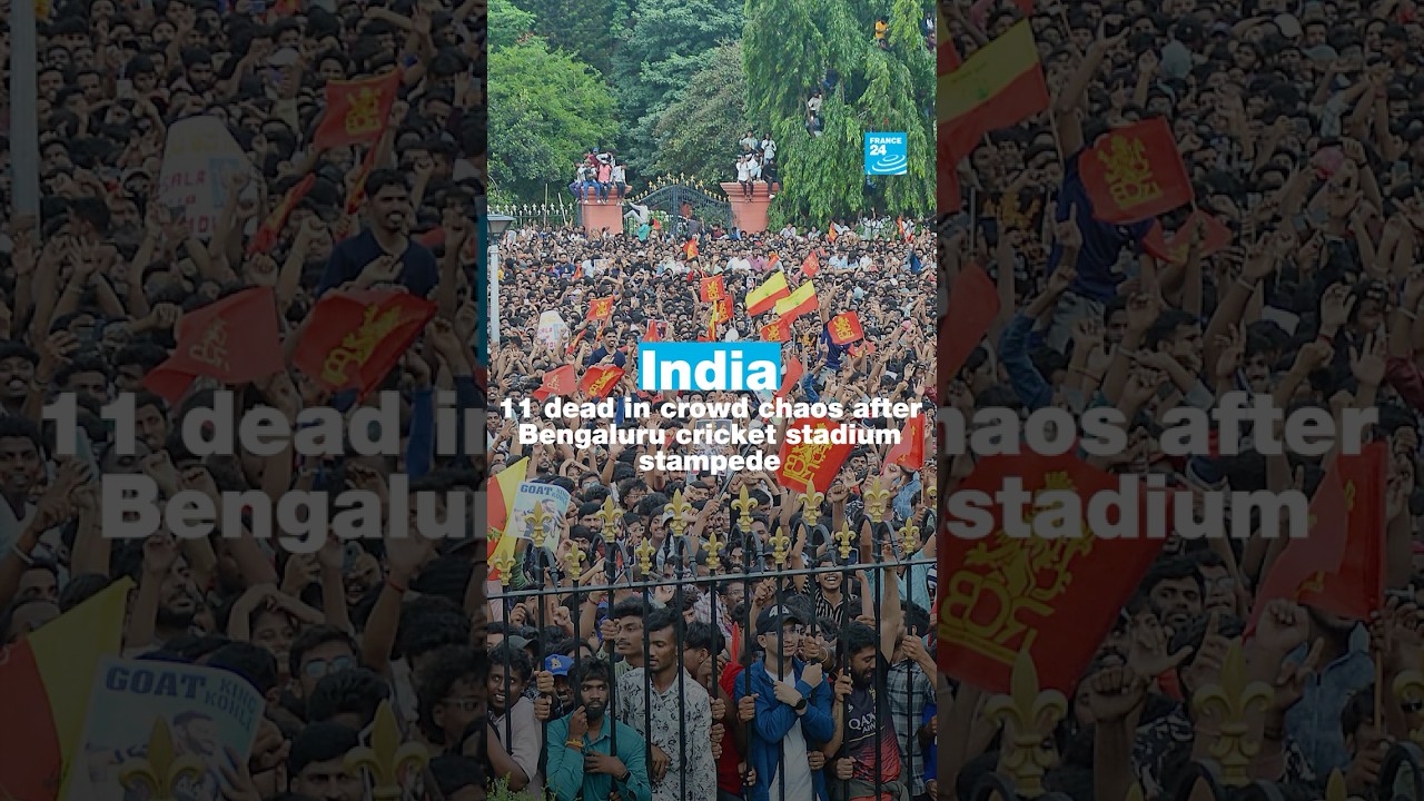 India: 11 dead in crowd chaos after cricket stadium stampede &bull; FRANCE 24 English