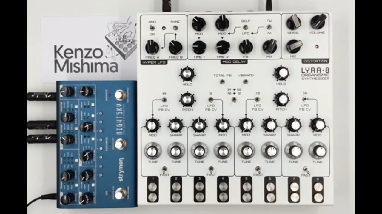 Soma Lyra-8 and Strymon NightSky Experimental Reverb | Kenzo Mishima