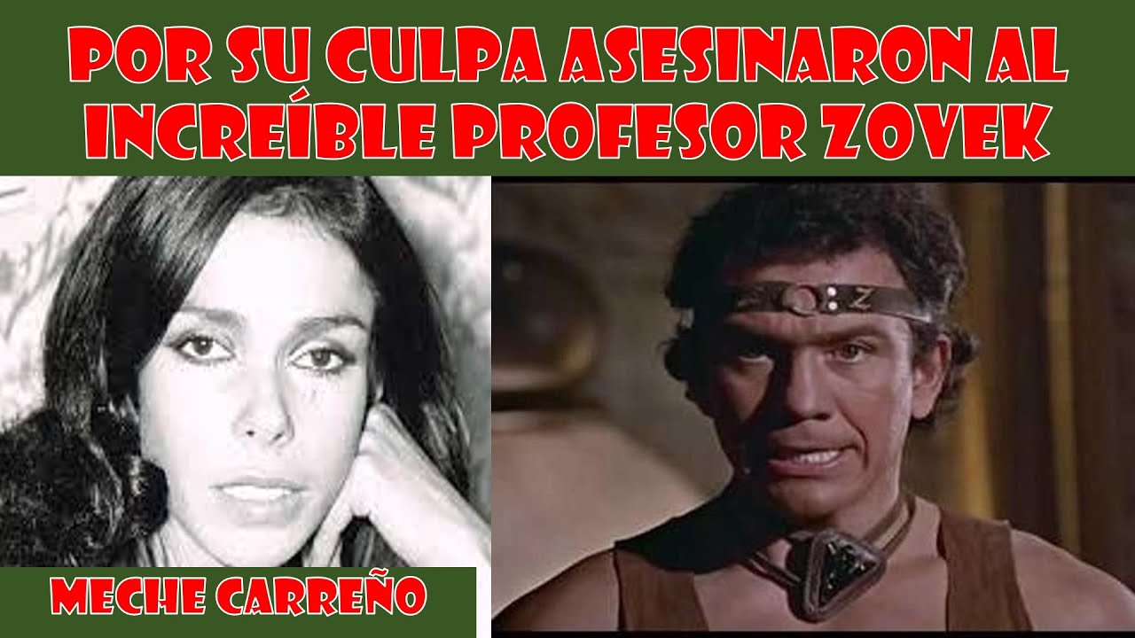 POR SU CULPA ASESINARON AL INCREIBLE PROFESOR ZOVEK