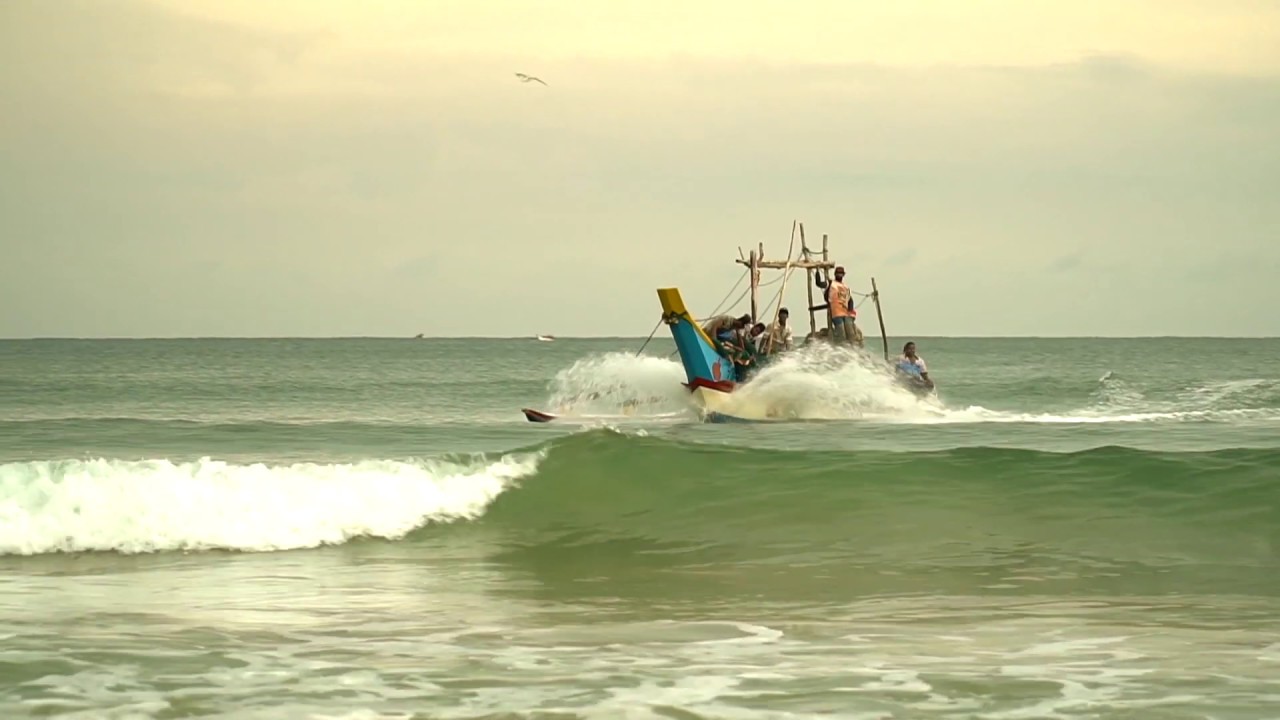 Tropical paradise: Sri Lanka (by Lucky's Surf Camp)