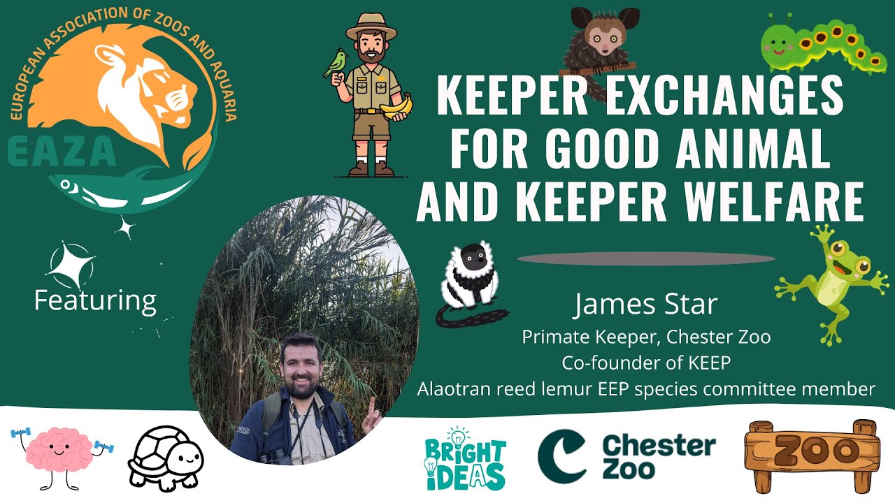 EAZA Animal Welfare webinar _ James Star on the Keeper Educational Exchange Programme (KEEP)