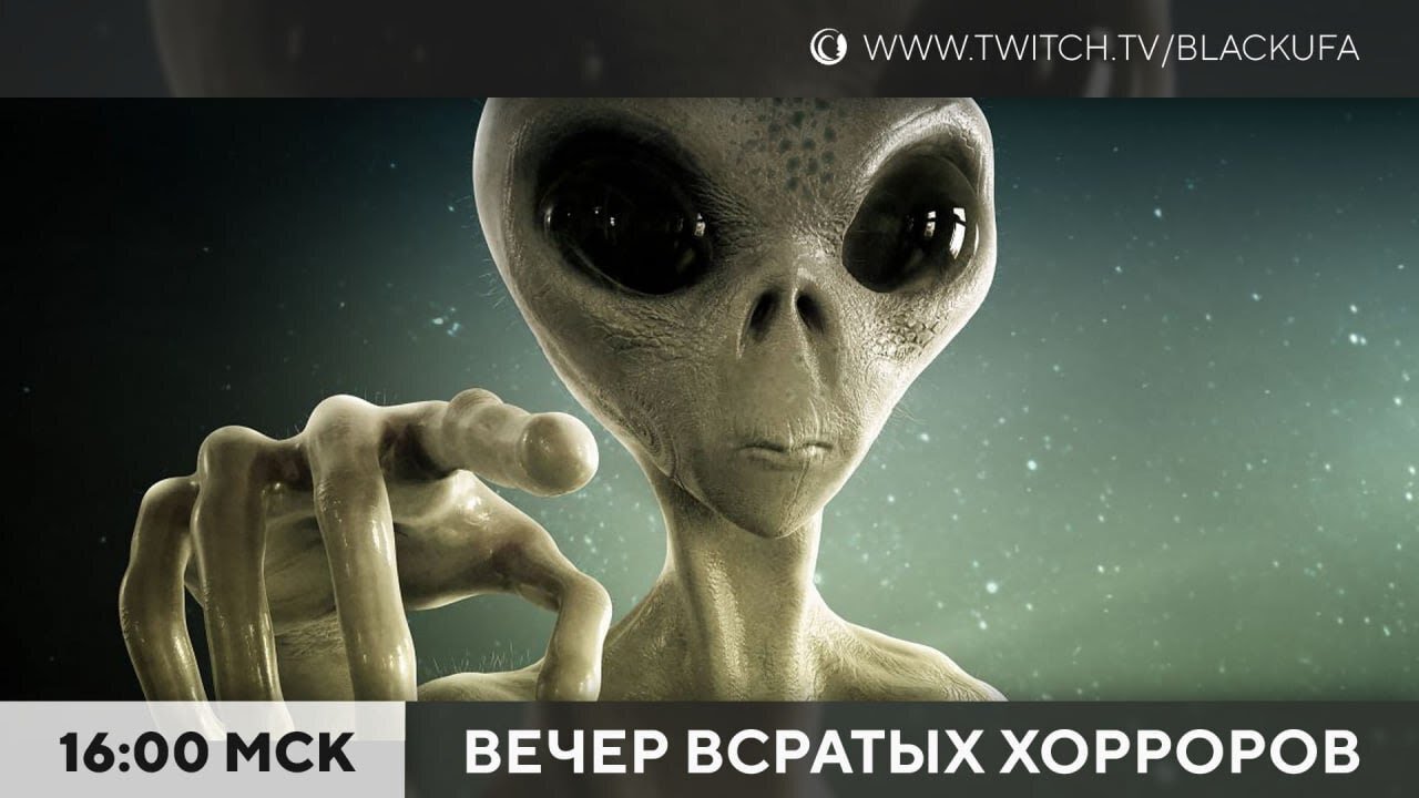 Вечер Всратых Хорроров (ВВХ) 2025 #29 средненедельник