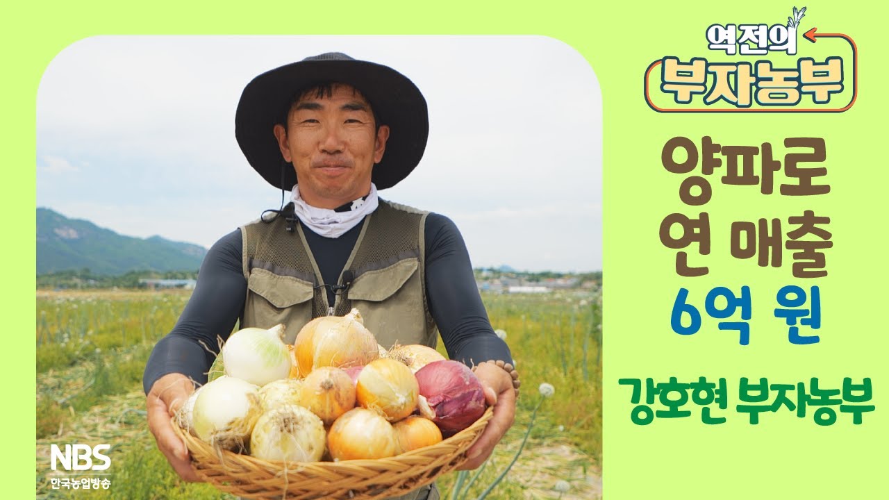 [역전의부자농부 306회] 양파로 연 매출 6억 원! 경남 함양 강호현 부자농부