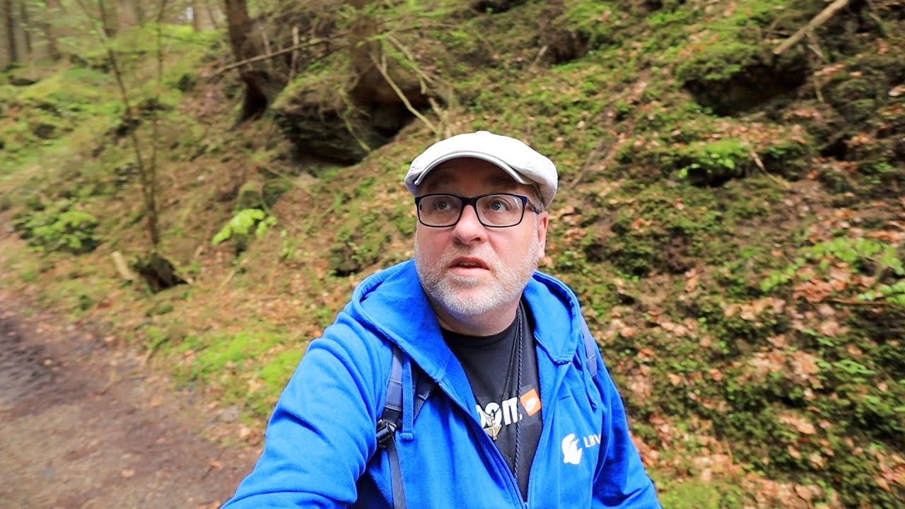 Entlang der vergessenen Bahnstrecke im Wald