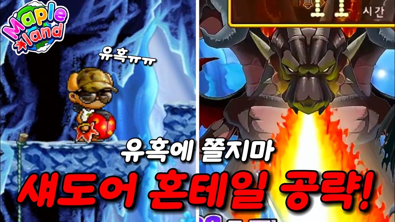 혼테일 유혹 공략 섀도어 시점! #메이플랜드 🍁