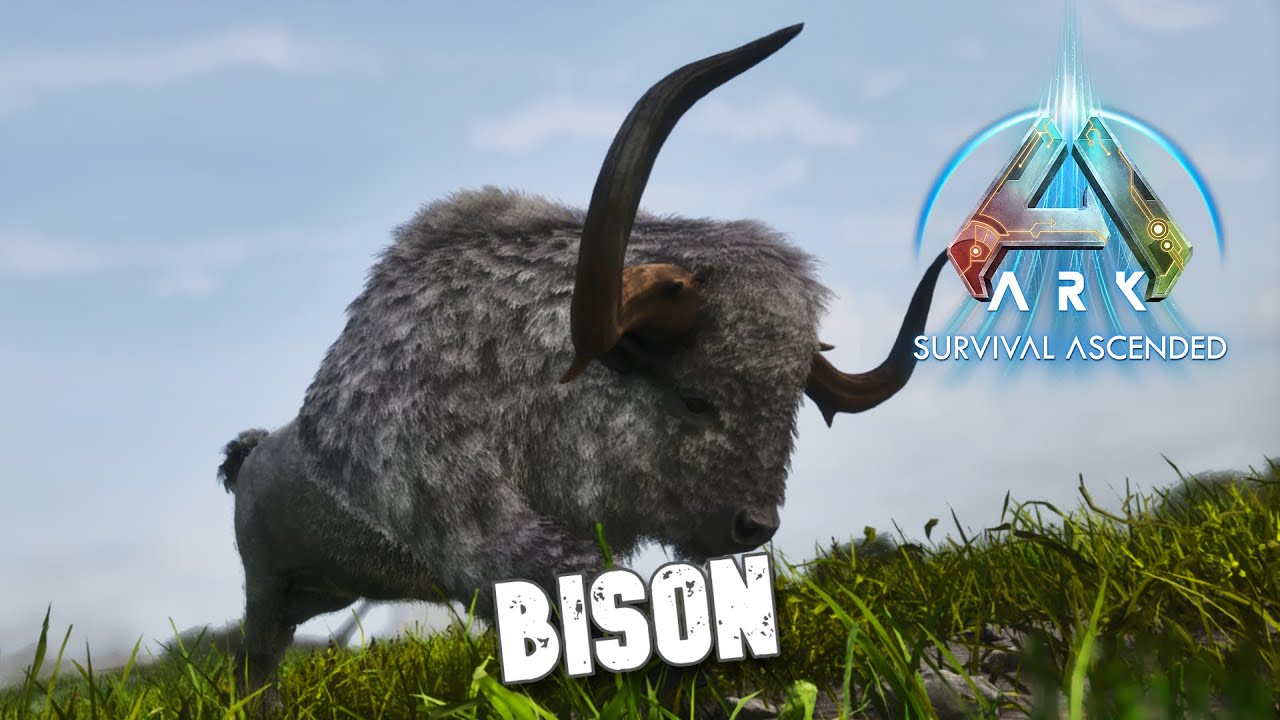 Taming A Bison | Ark Survival Ascended | Ragnarok