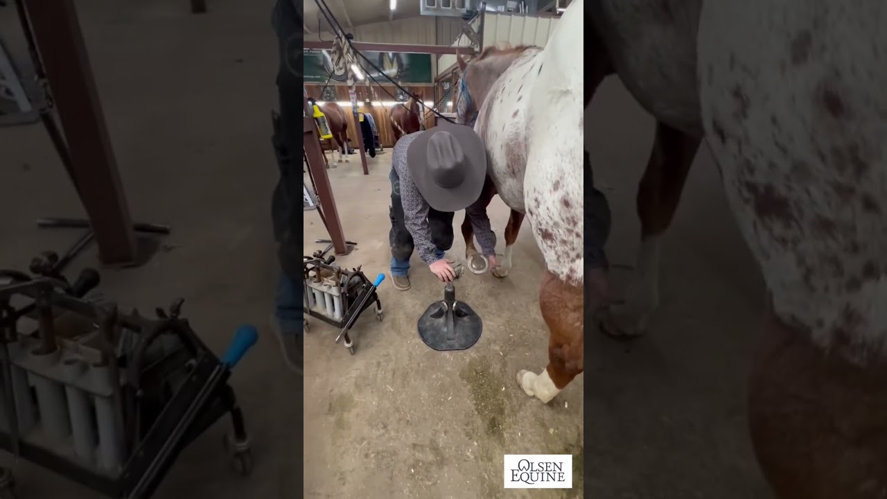 How to properly remove a shoe with Jeb Hunt, CJF