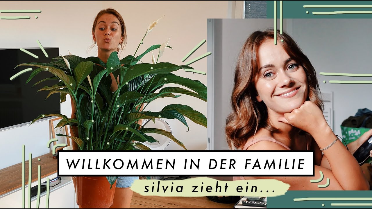 Der ganz normale Alltagswahnsinn - Camper anmelden, Pflanzentalk & Co. | MANDA Vlog