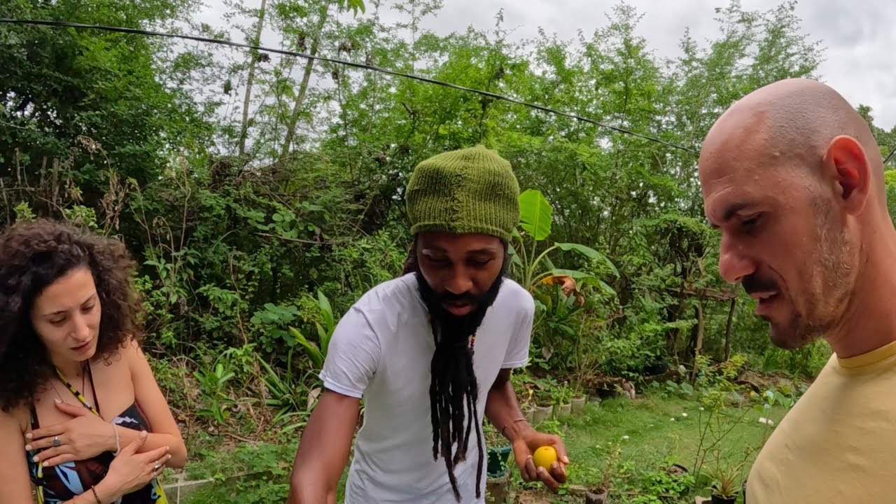 Crazy How Rastafari Man lives!! With @coco_girl3  🇯🇲
