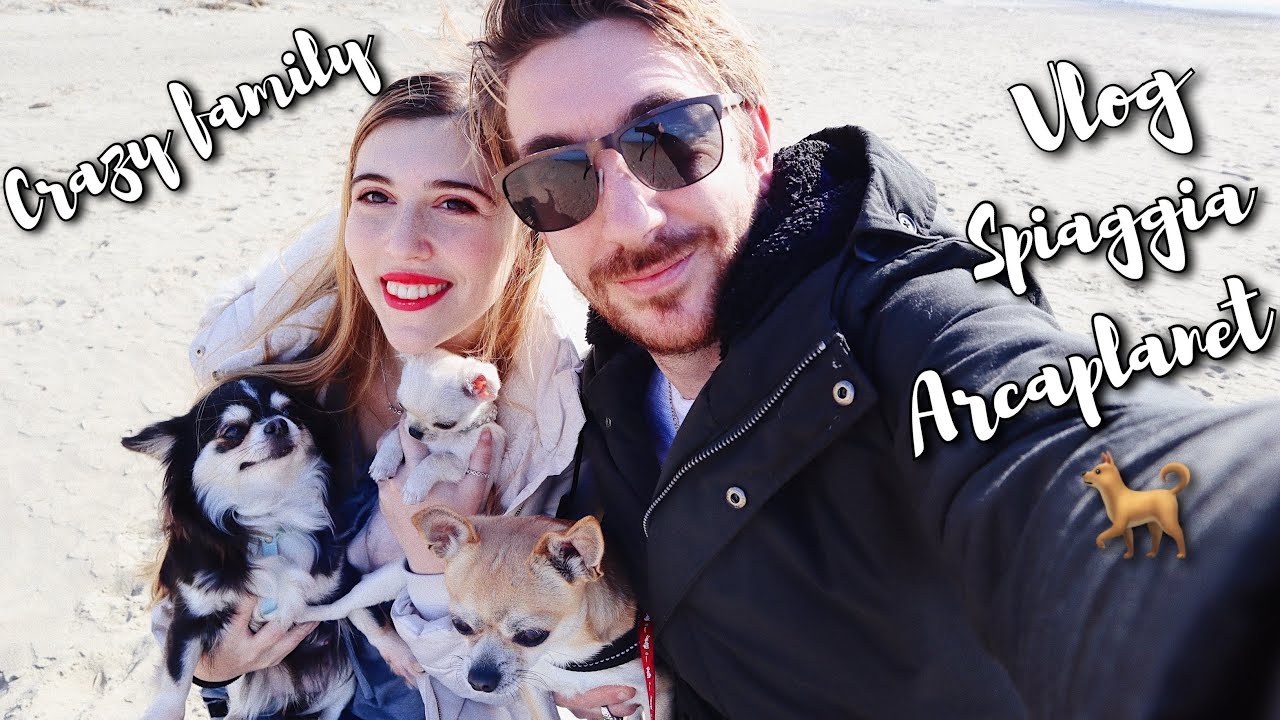 IN SPIAGGIA CON I CRAZY CHIHUAHUA e da arcaplanet vlog