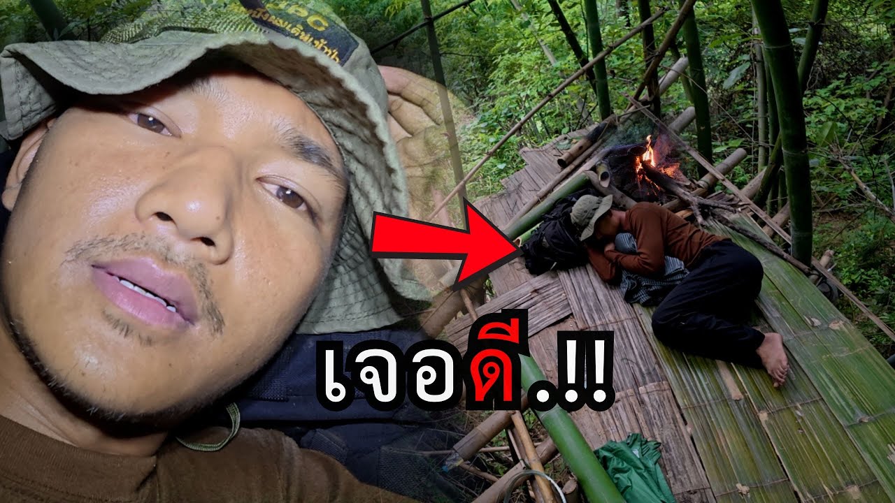 จิตต้องแข็ง..!! กลางดึกในป่าลึก...ประสบการณ์เสียงเตือนแบบนี้ ตอนที่ 227