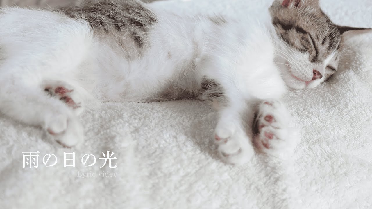オリジナル曲　【雨の日の光】