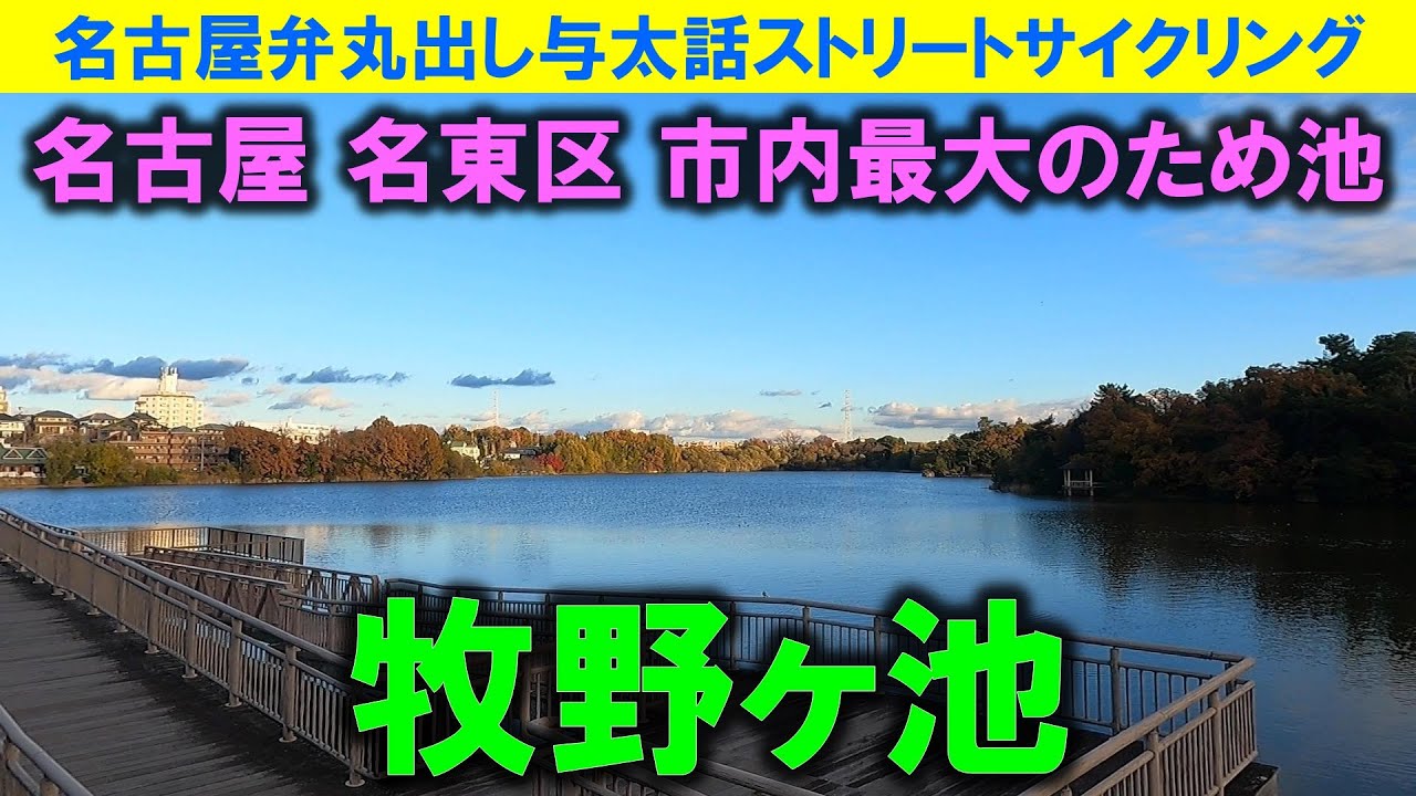 【365日 名古屋旅】名古屋市名東区牧野ヶ池。初冬の静かな牧野ヶ池周辺を巡る。名古屋市内最大のため池だけあり、結構な大きさを誇る。かつてはブラックバス釣りのメッカ。2023年12月撮影。No.812