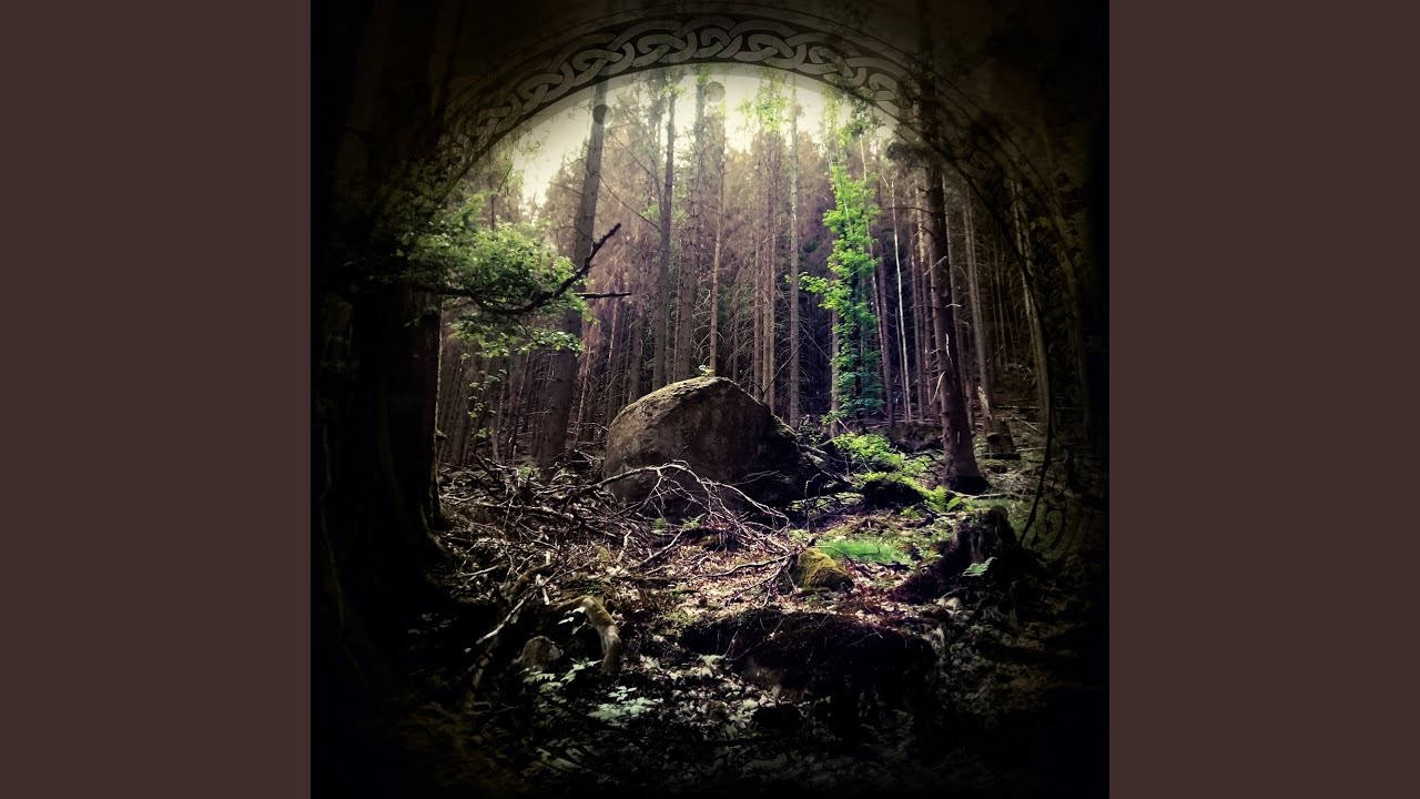 Into the unknown